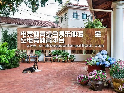 客户案例标题九
