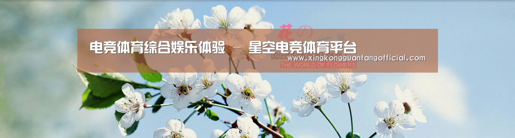 花卉园林种植展示网站模板
